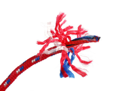 LINA WIELOFUNKCYJNA 5MM x 100M KD11026