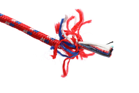 LINA WIELOFUNKCYJNA 8MM x 50M KD11023